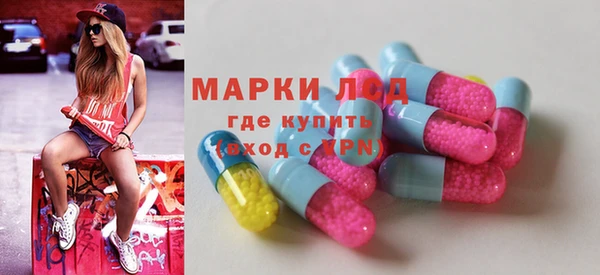 стафф Долгопрудный
