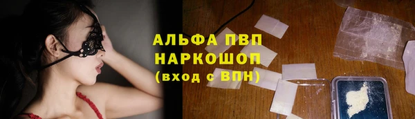 стафф Долгопрудный