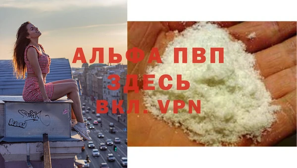 стафф Долгопрудный